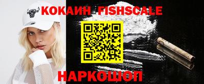 индика Камышлов