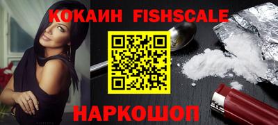 индика Камышлов