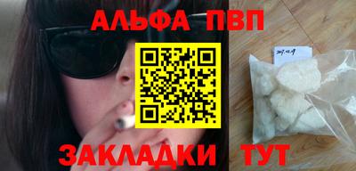 индика Камышлов