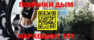 индика Камышлов