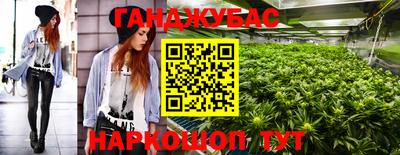 индика Камышлов