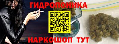 индика Камышлов