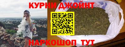индика Камышлов