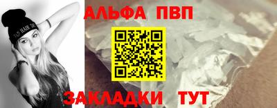 индика Камышлов