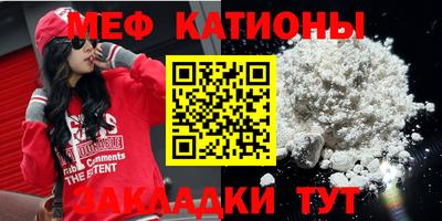 индика Камышлов